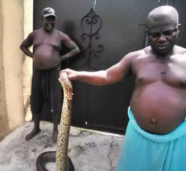 See the Big Snake Killed in Ago Palace Canal in Lagos Set to be Sold for N20k (Photos)